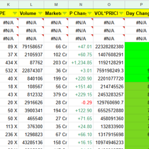 Magic Sheet Top 1000 Stocks